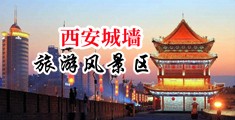 射她淫比网中国陕西-西安城墙旅游风景区