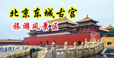 美女洗澡被操啊啊啊啊啊网站大全中国北京-东城古宫旅游风景区